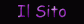 Il sito